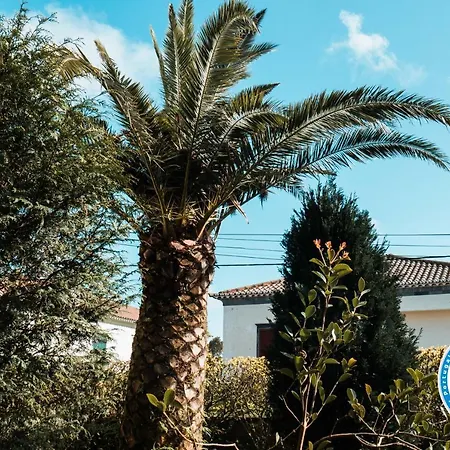 Cordeiro's House Tatil Evi *