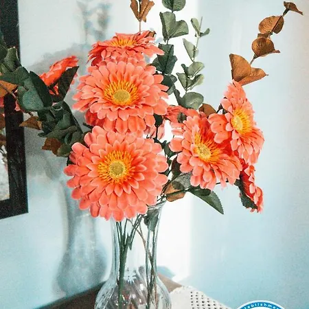 Cordeiro's House Arrifes