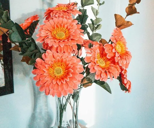 Cordeiro's House Arrifes